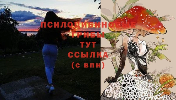 ECSTASY Бородино