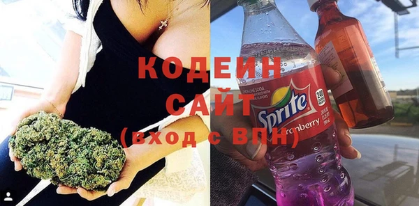 ECSTASY Бородино