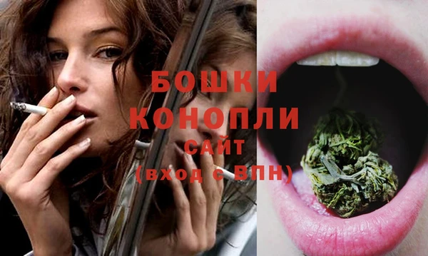 герыч Бронницы