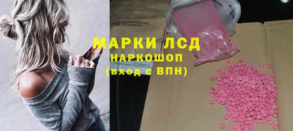ECSTASY Бородино
