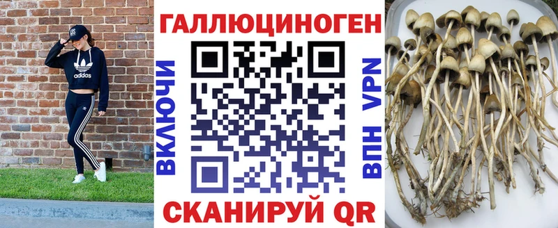 hydra ONION  Тихорецк  Галлюциногенные грибы мухоморы 